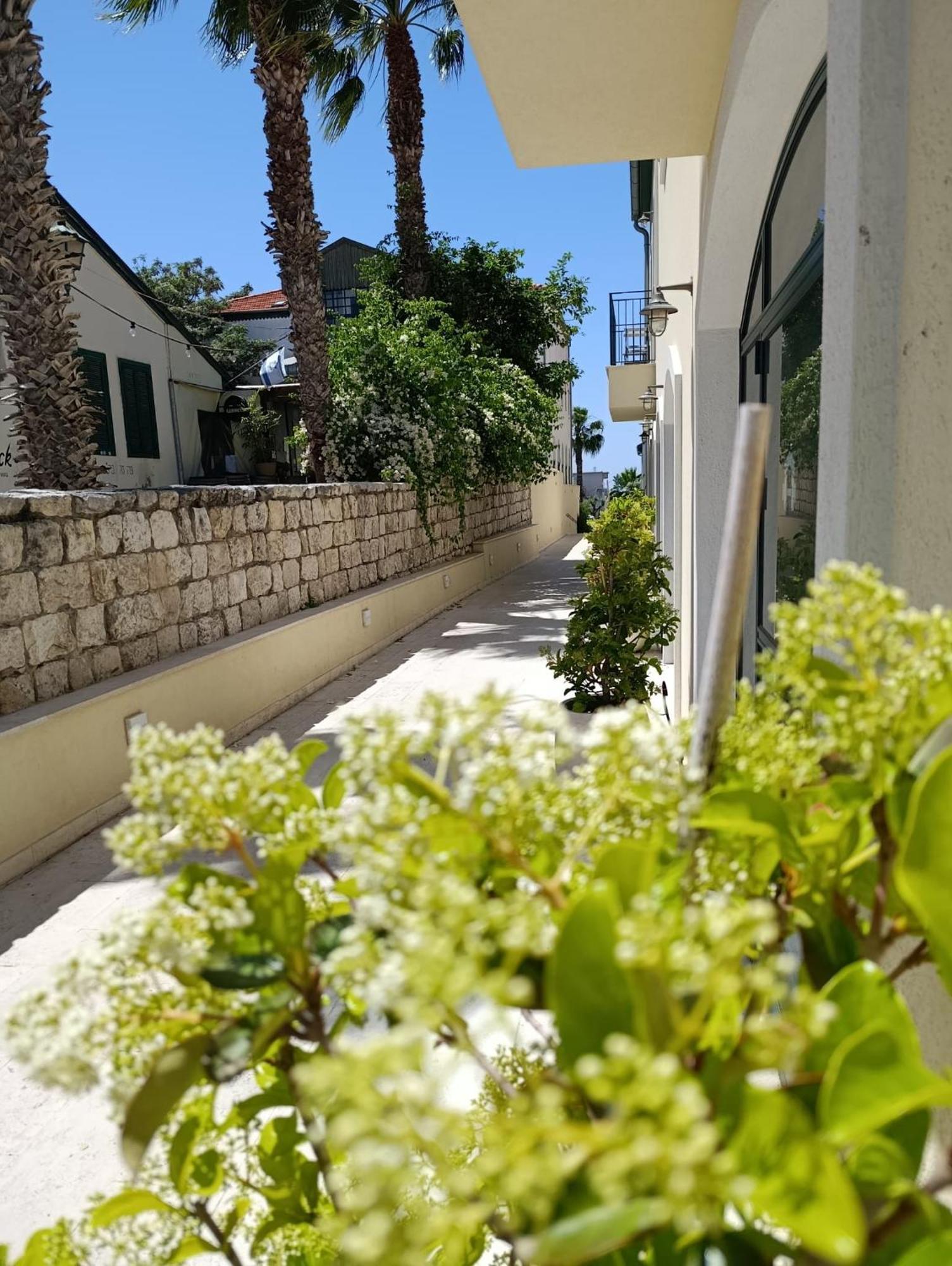 49 Boutique Βίλα Zikhron Ya'akov Δωμάτιο φωτογραφία